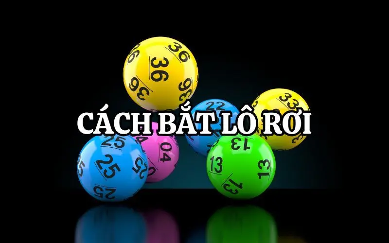 Cách Bắt Lô Rơi - Chiến Thuật Giúp Tăng Tỷ Lệ Trúng Đề 1 cach bat lo roi 1