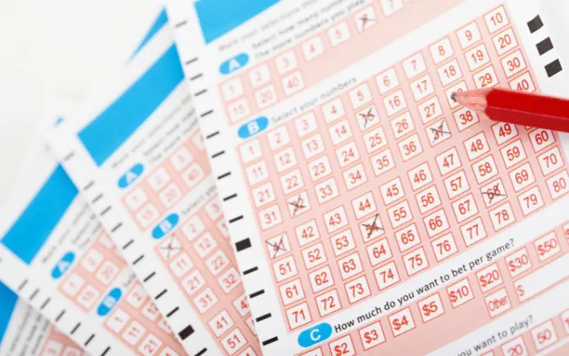 Nuôi Lô 7 Ngày: Chiến Thuật Cá Cược Hiệu Quả Hay Rủi Ro? 3 Cách lựa chọn con lô để nuôi