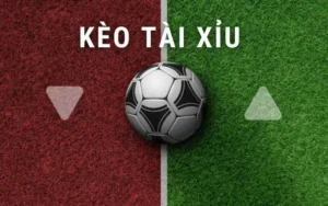 Tất Tần Tật Về Kèo Tài Xỉu: Mách Bạn Cách Chơi Hiệu Quả 2 keo tai xiu 1