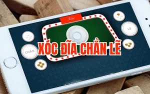 Xóc Đĩa Chẵn Lẻ: Hướng Dẫn Từ A-Z Cách Chơi Hiệu Quả 2 xoc dia chan le 1